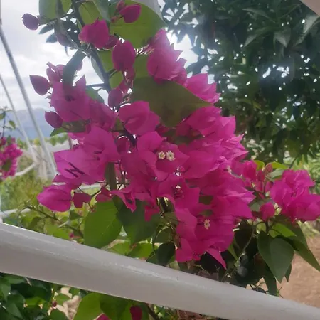 Rosemary House Sarande