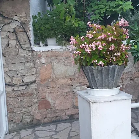 Rosemary House * Saranda