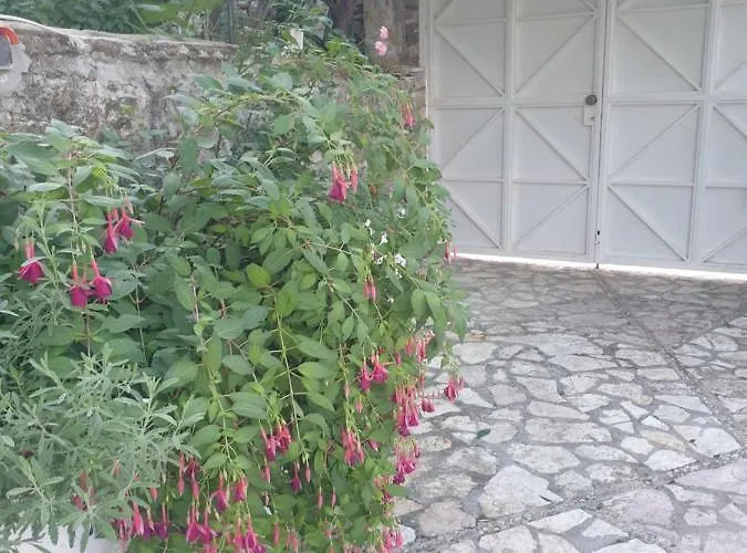 Rosemary House Sarandë